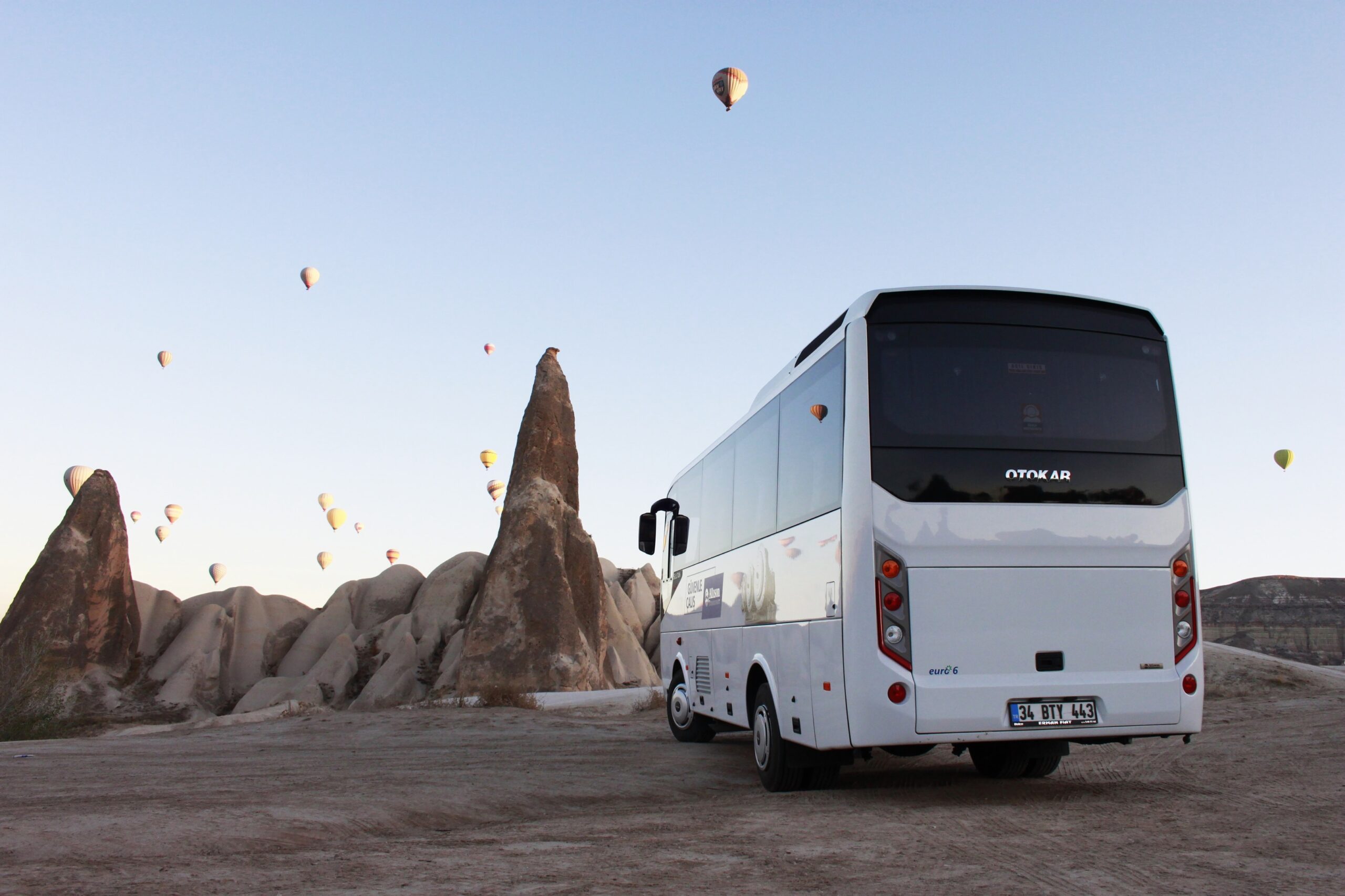 Molly Travel Services