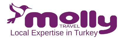 MOLLY TRAVEL TURİZM SEYAHAT ACENTASI : 11364